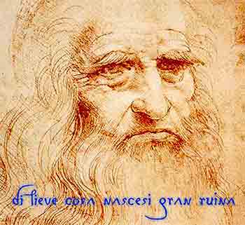 Di lieve cosa nascesi gran ruina 