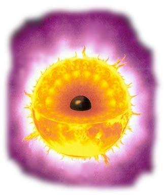Bisogna andare al nucleo delle emozioni